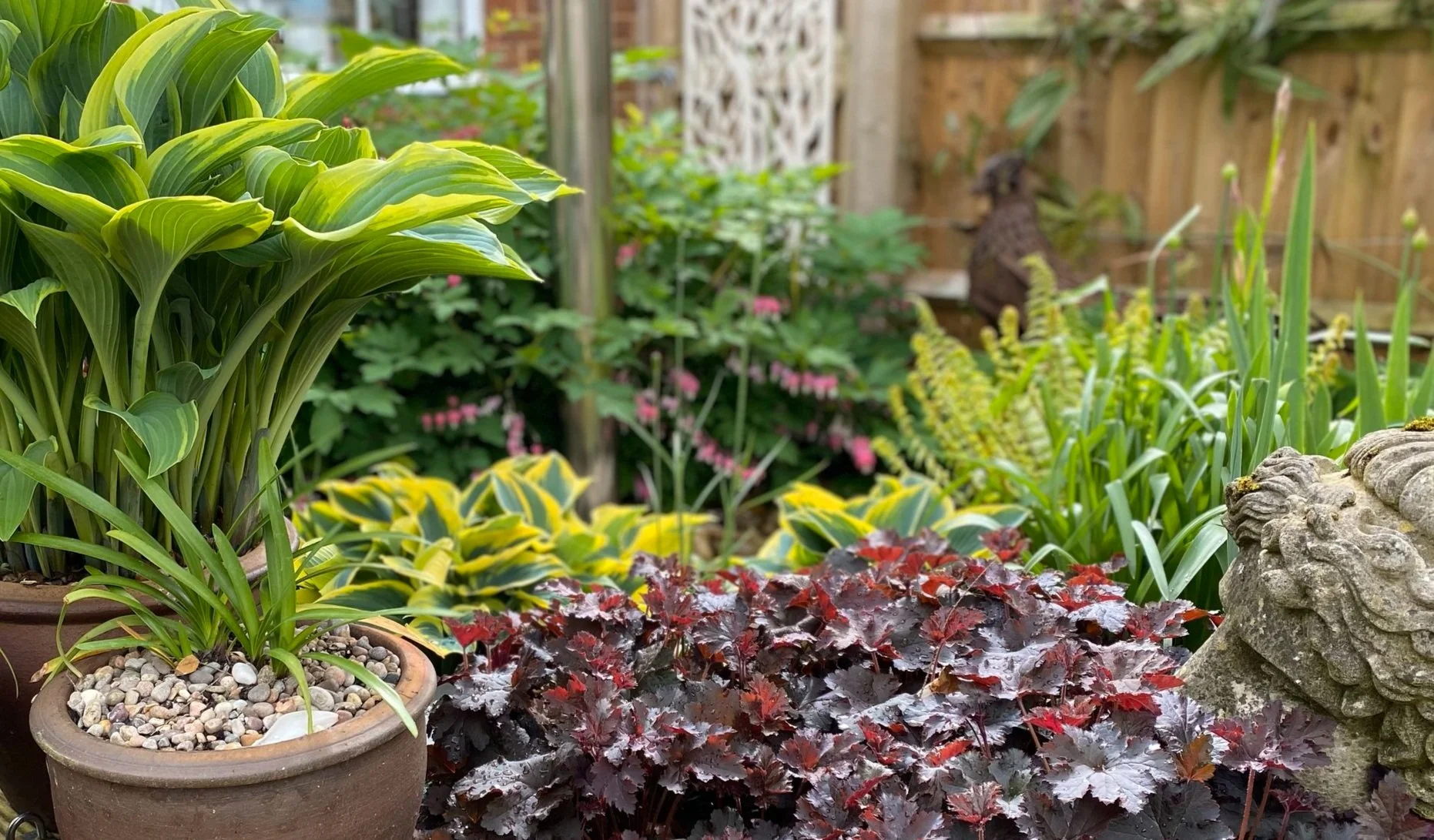 Ten flowering plants for shady spots