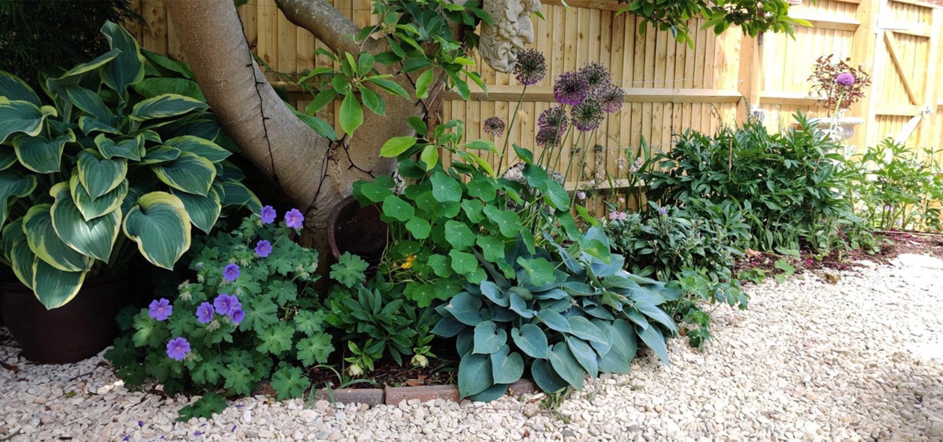 A spring border bursting into bloom. Designed by OX Garden Design