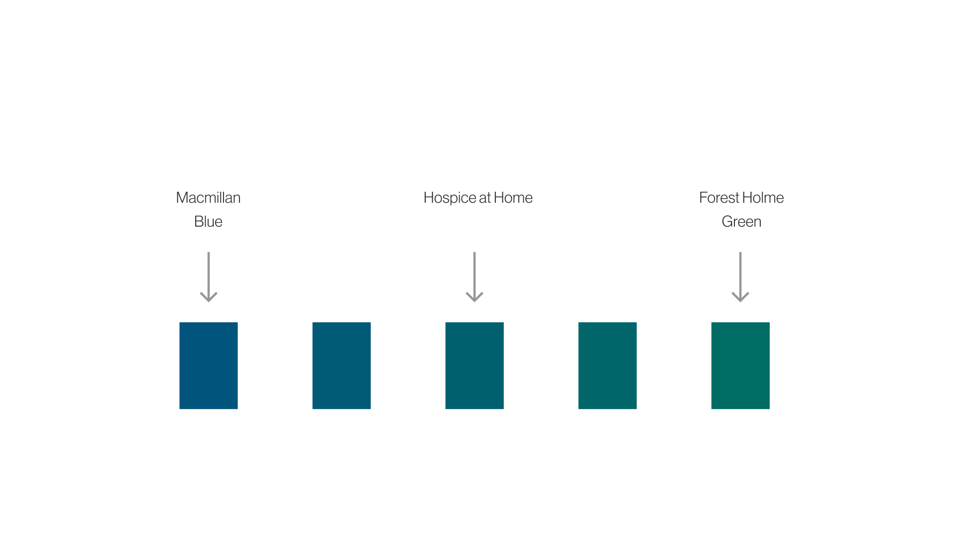 Bar chart displaying different shades of blue and green labeled Macmillan Blue, Hospice at Home, and Forest Holme Green.