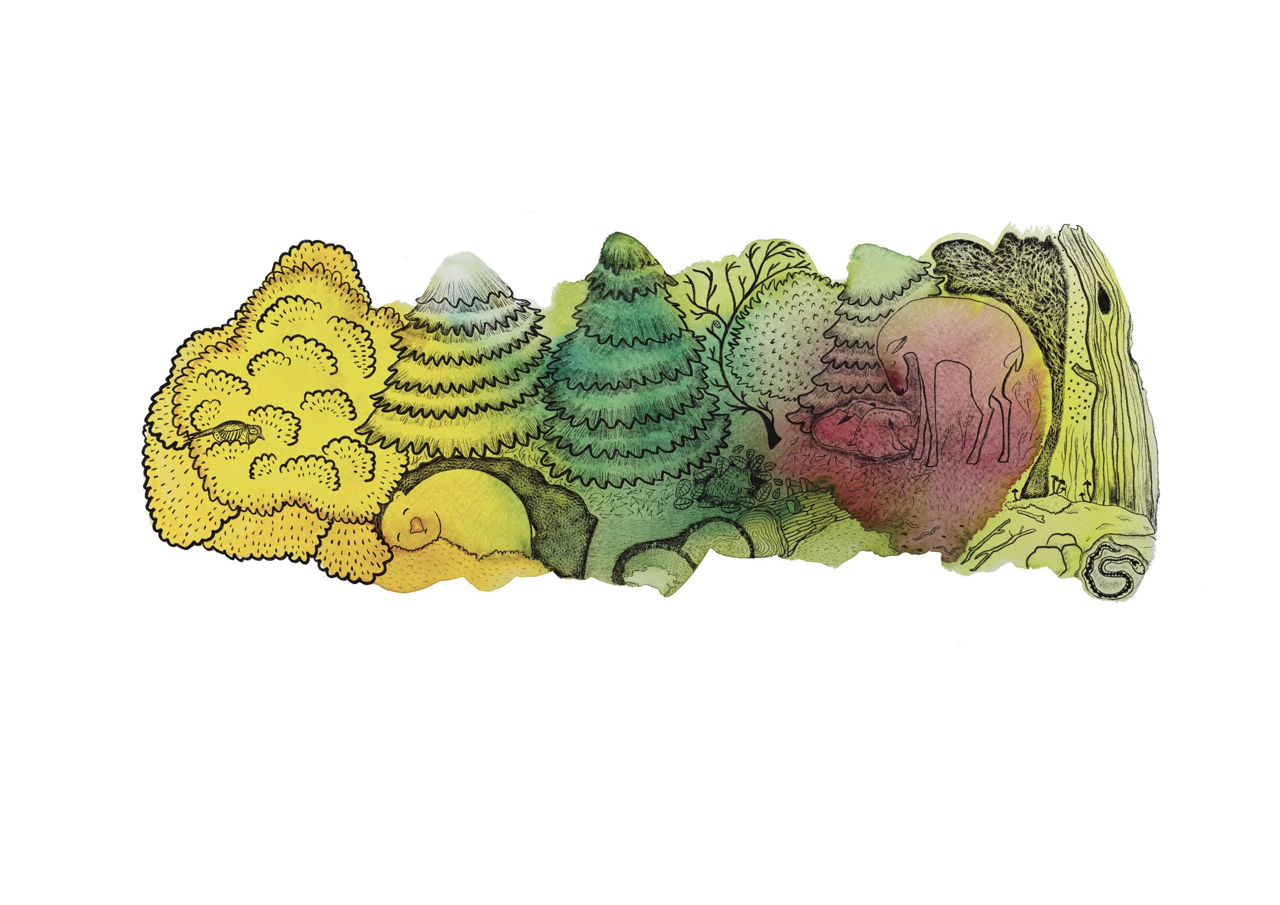 "Nukkuvat" 2025 watercolour and digital illustration