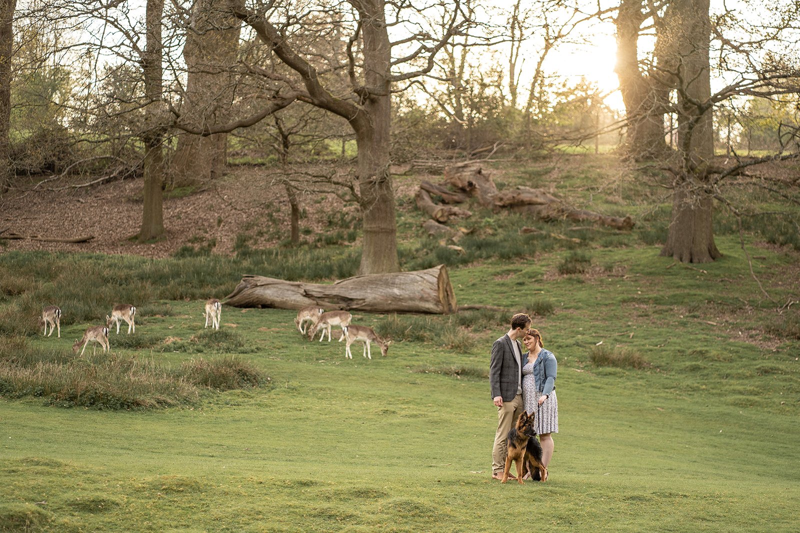 Why you NEED to bring your dog to your pre-wedding photoshoot!
