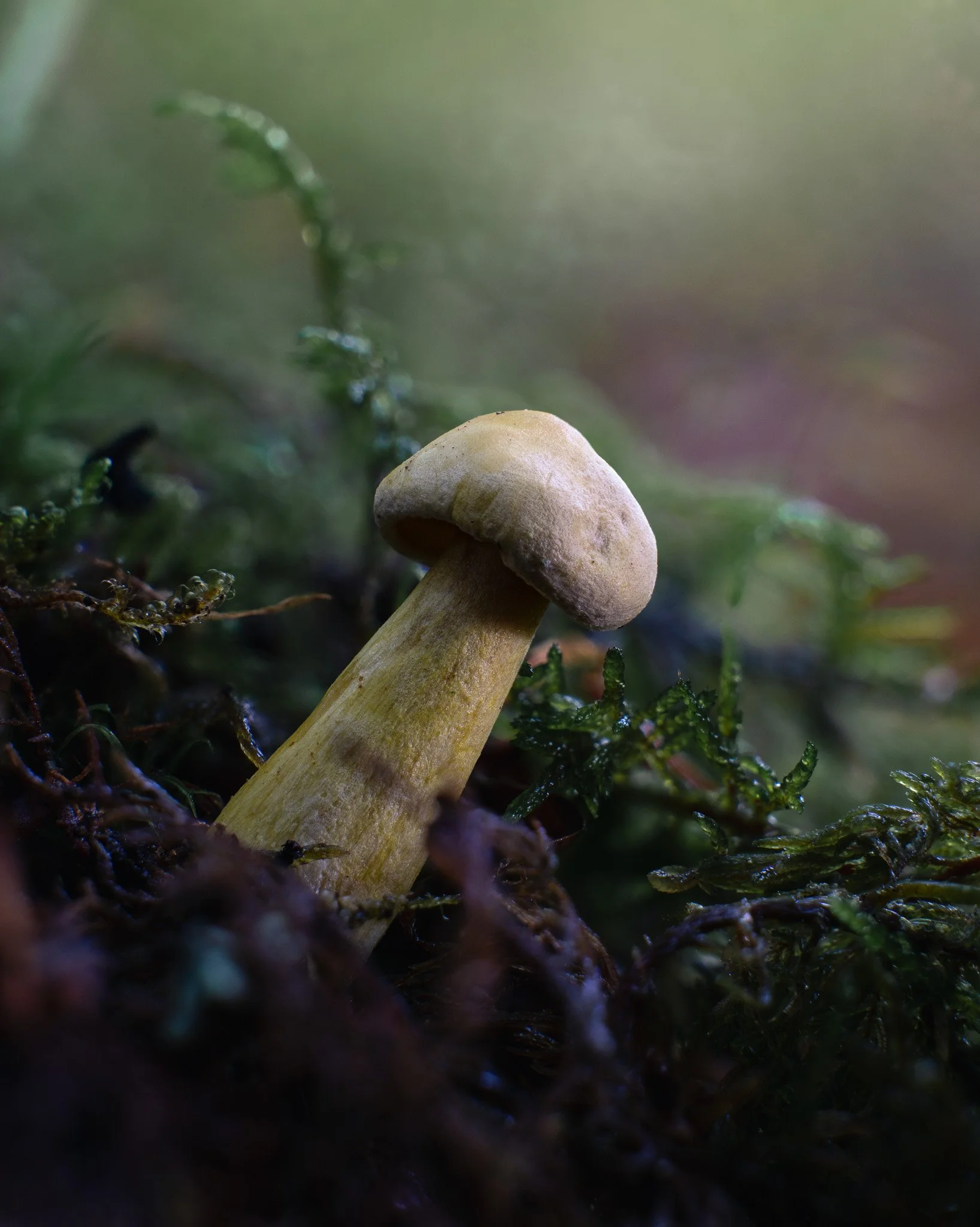 2025-10-11 17-18-15 (B,R7,S4).jpg