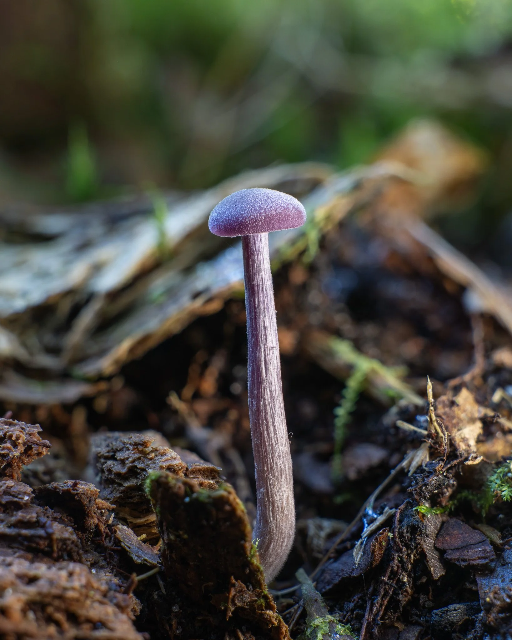 2025-10-04 08-35-58 (B,R6,S3).jpg