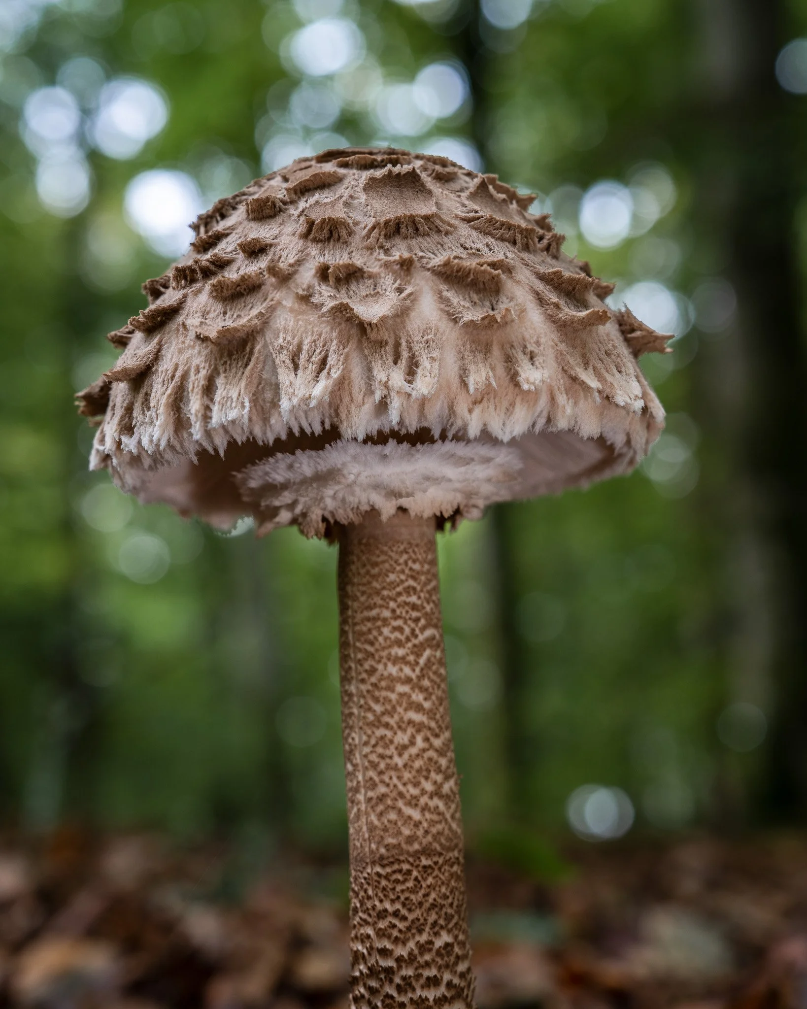 2025-10-08 08-04-38 (B,R7,S3).jpg