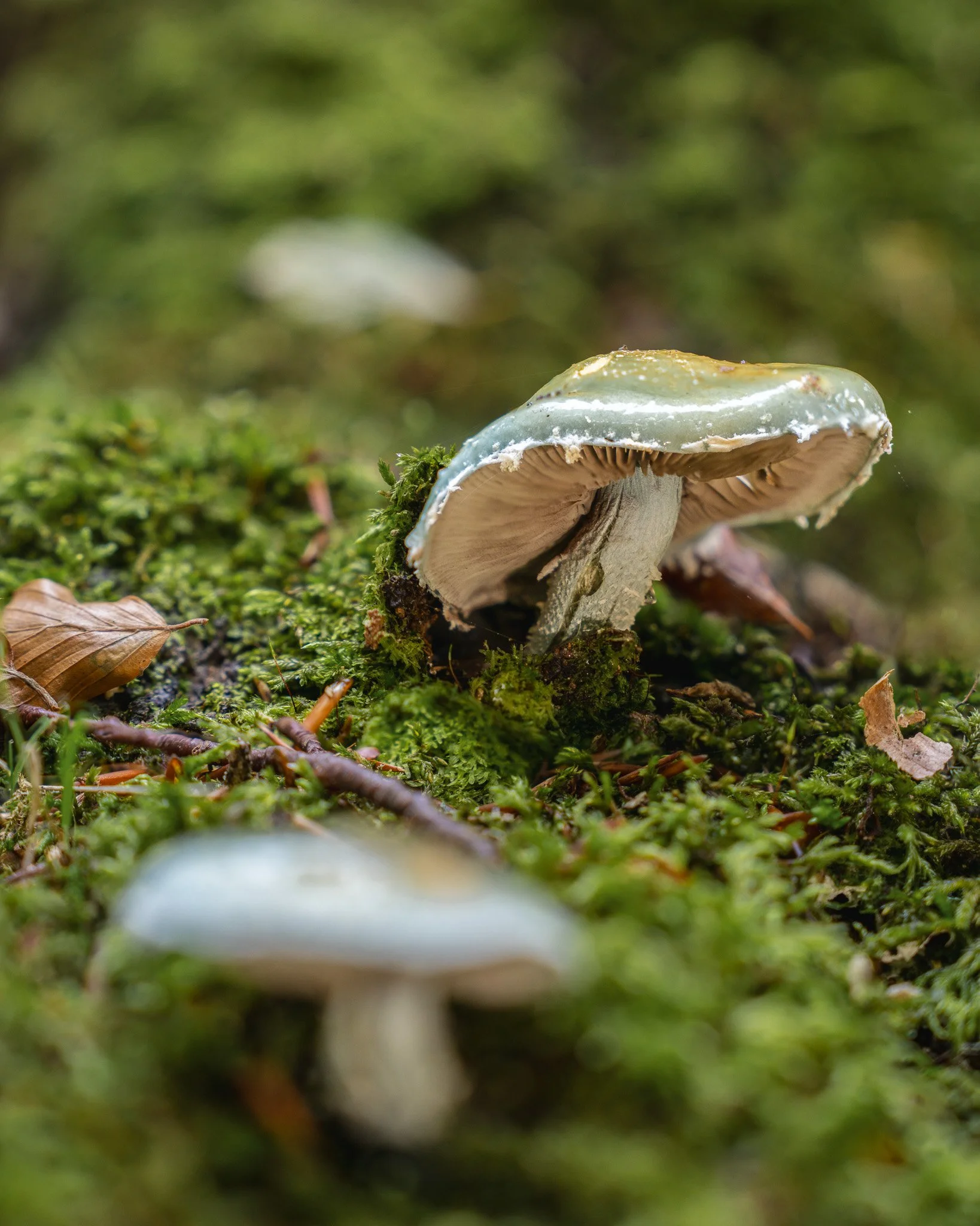 2025-10-08 07-56-35 (B,R7,S3).jpg