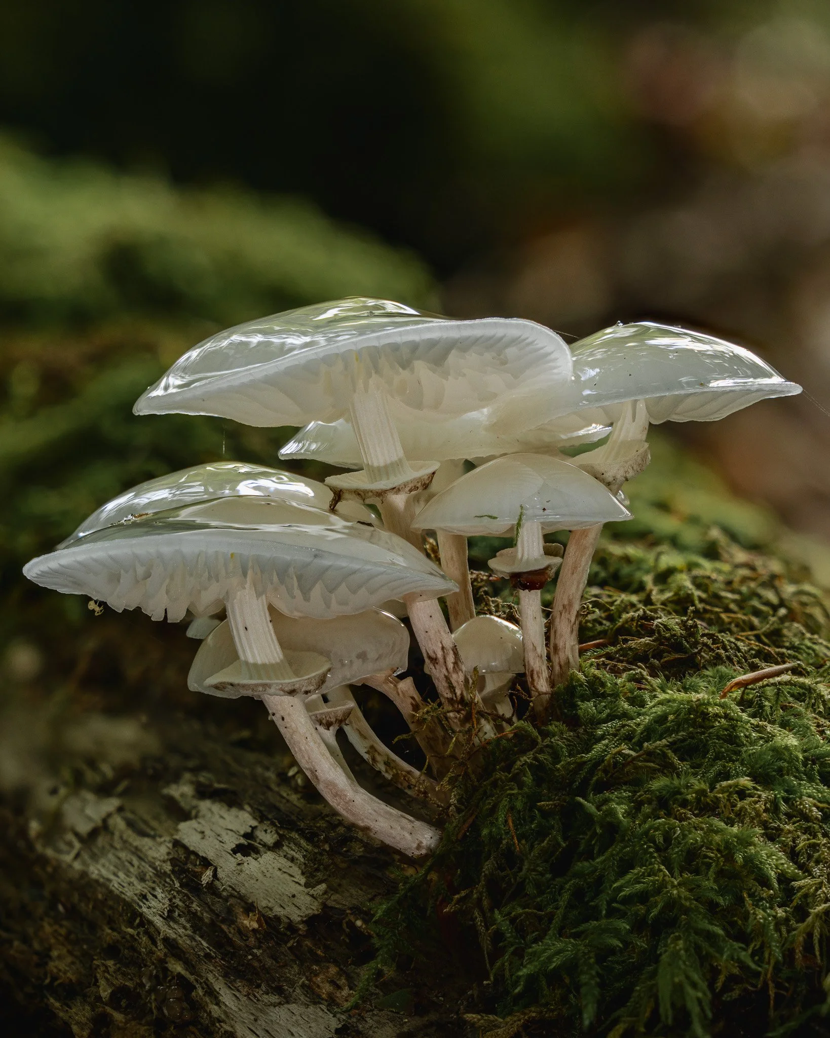 2025-10-08 08-51-37 (B,R6,S4).jpg