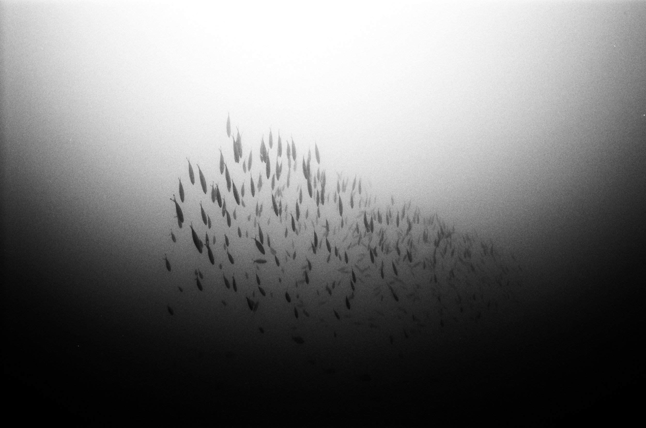 040314400013_###.jpg