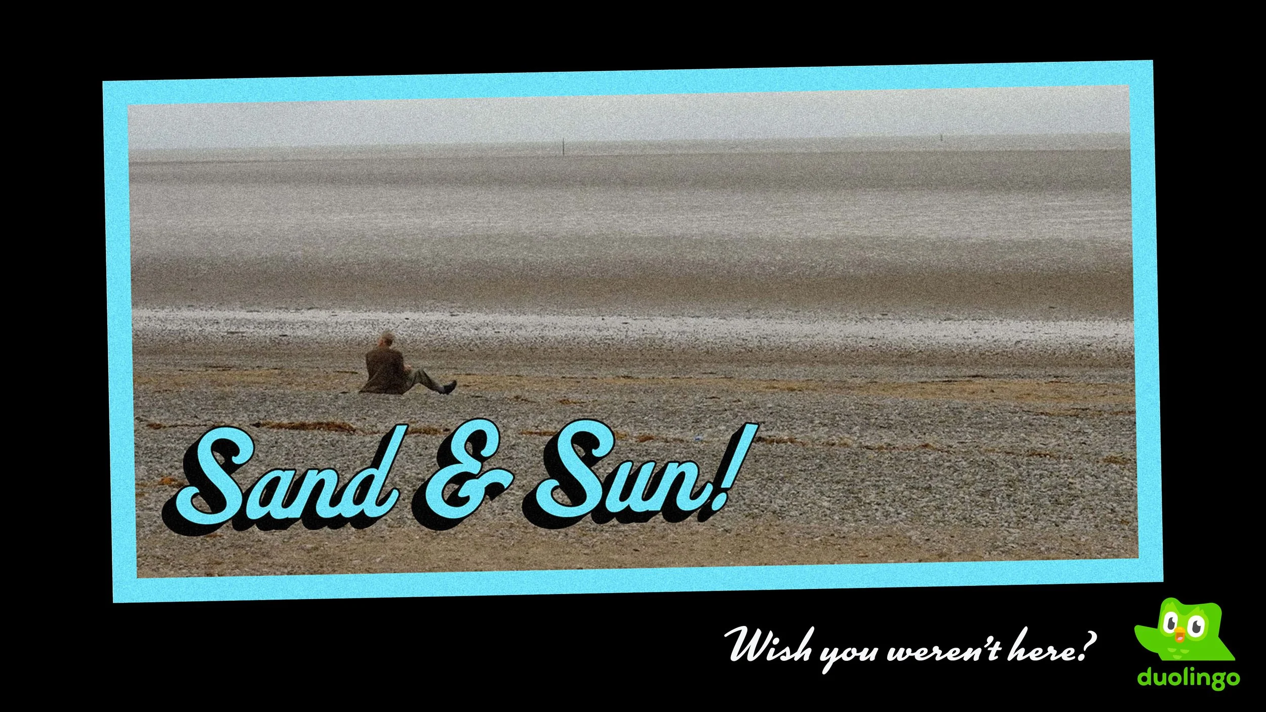 Duolingo Poster v3 - Full.jpg