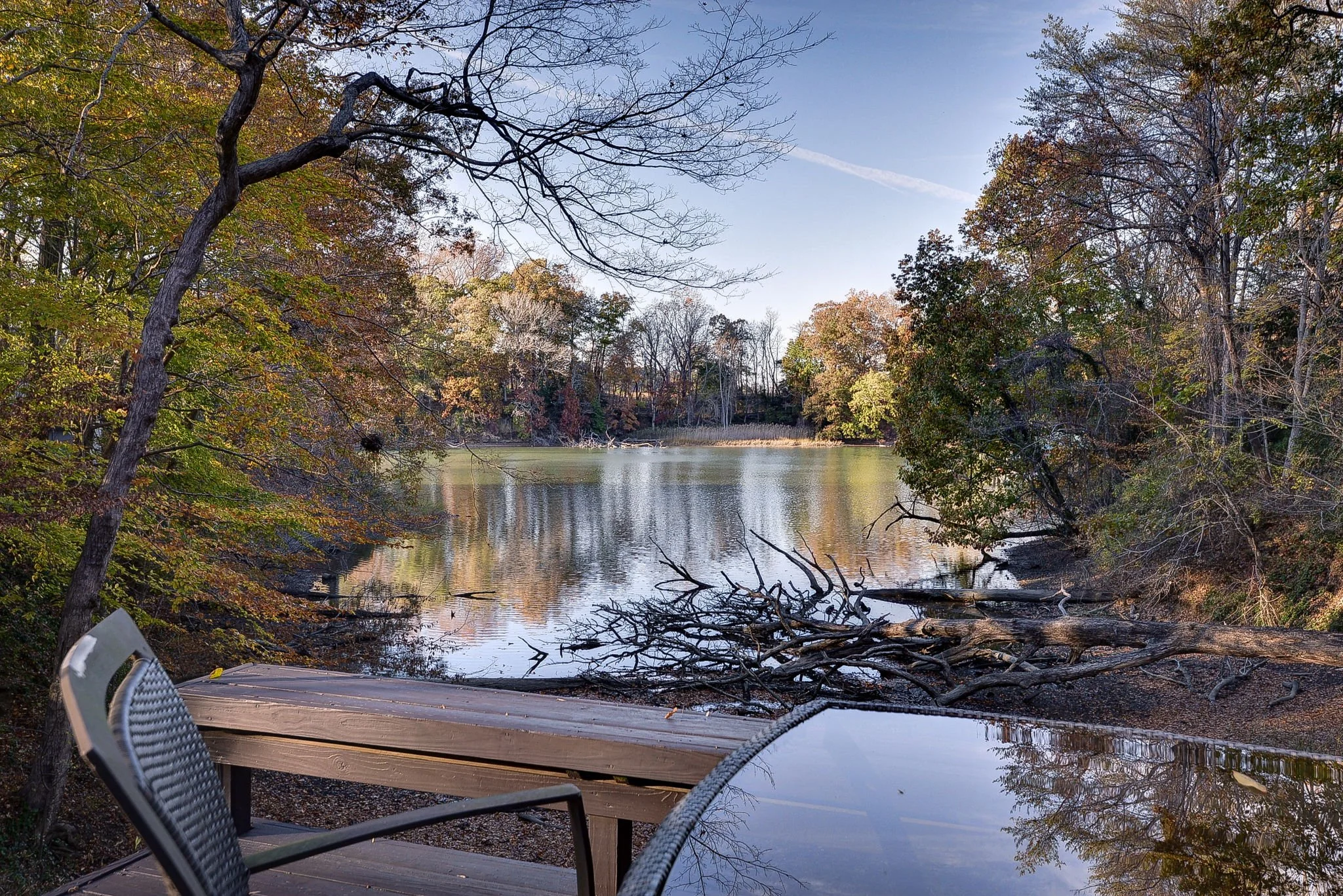 59-web-or-mls-ARC_7332_3_4 copy.jpg