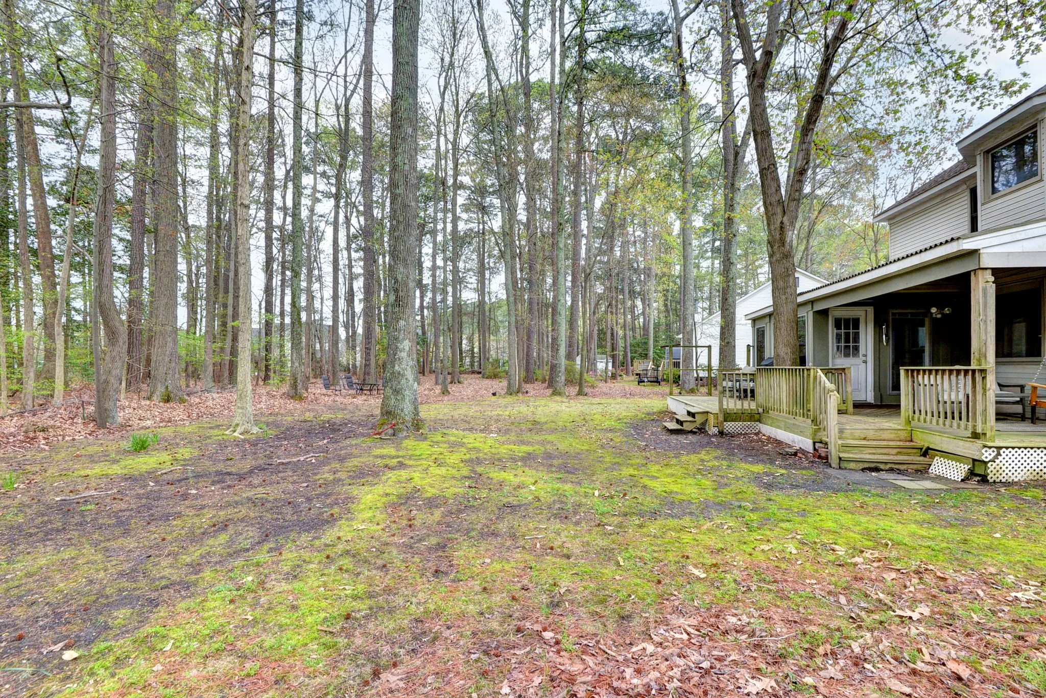 37-web-or-mls-ARC_3764_5_6 copy.jpg