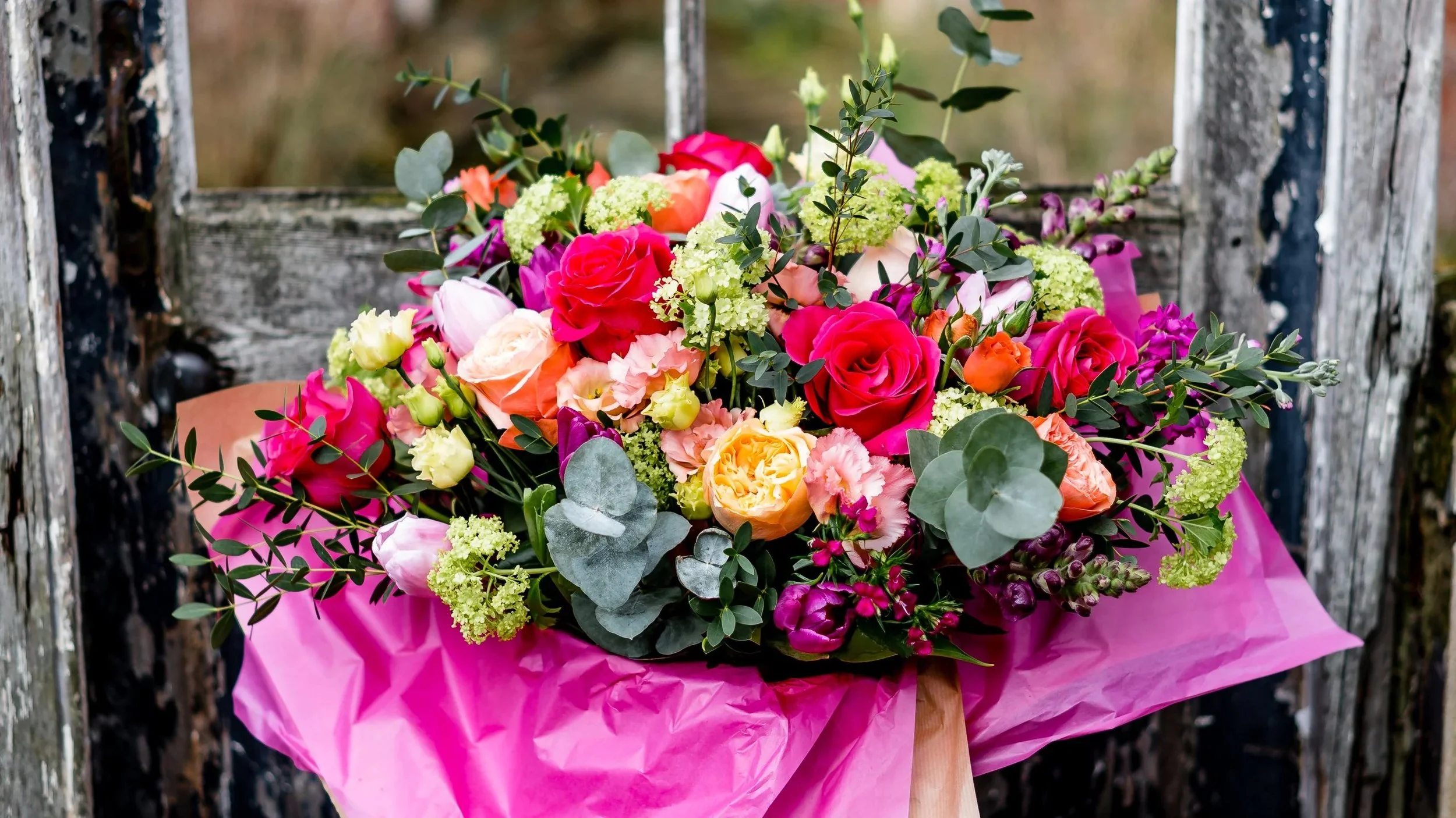 A modern rectangular building with wood and white panel exterior, large glass window, and mountain landscape in the background.