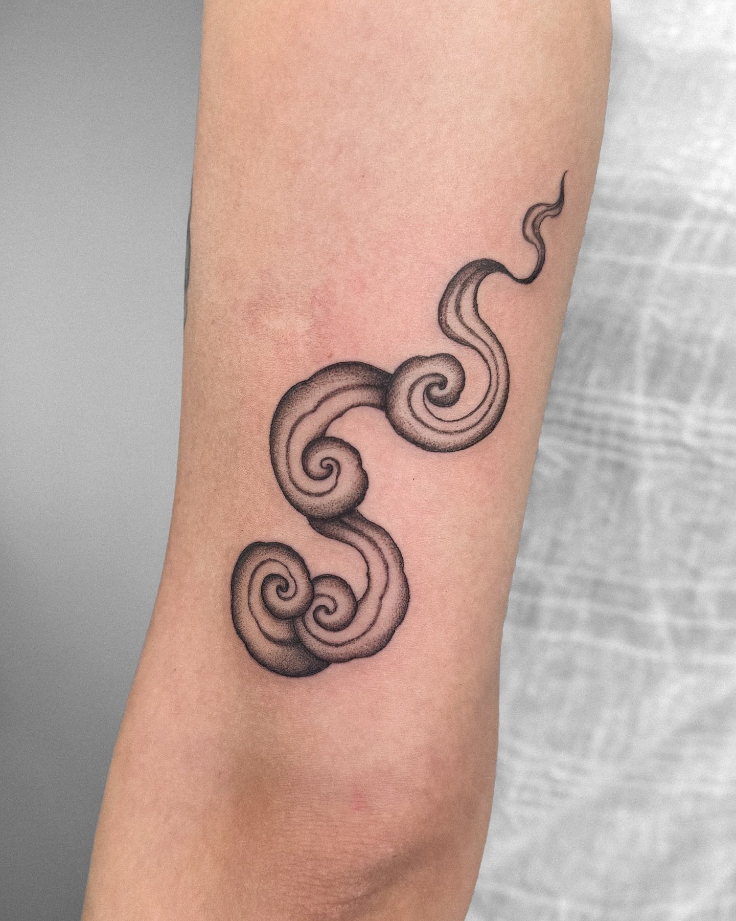 From the give-away ☁️💚
Love to do more clouds!
.
.
.
.
#cloudtattoo #blackworktattooartist #btattoing #dotworktattoos #cutetattoos #haarlem #amsterdamtattoo #flowtattoo #eleganttattoo #prettytattoo #ornamentaltattoodesign #ornamentaltattoos