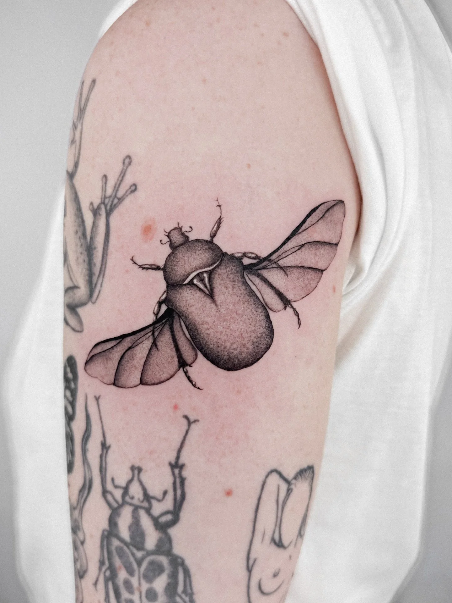 Forever inspired by tiny creatures. Give me all the insects!! 🦋🐞🪲🦗
To book send an email to: whiskeyandcreamtattoo@gmail.com 
.
.
.
.
.
#beetletattoo #beetletattoos #insecttattoo #haarlem #amsterdamtattoo #dutchtattoo #surrealismtattoo #haarlemci