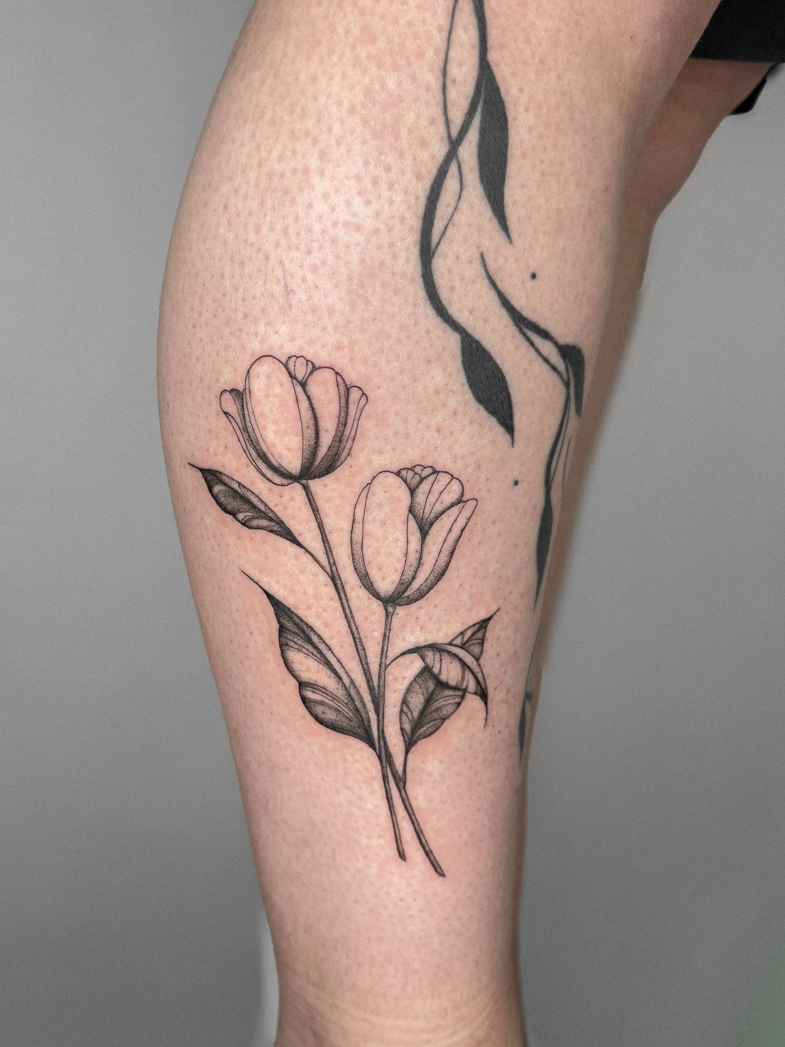 🌷❤️
Bookings are open,📍 HAARLEM, NL 🇳🇱
To book send an email to: whiskeyandcreamtattoo@gmail.com or click the link in the bio ✨
.
.
.
.
#floraltattoos #tuliptattoo #amsterdamtattoo #haarlem #botanicaltattoos