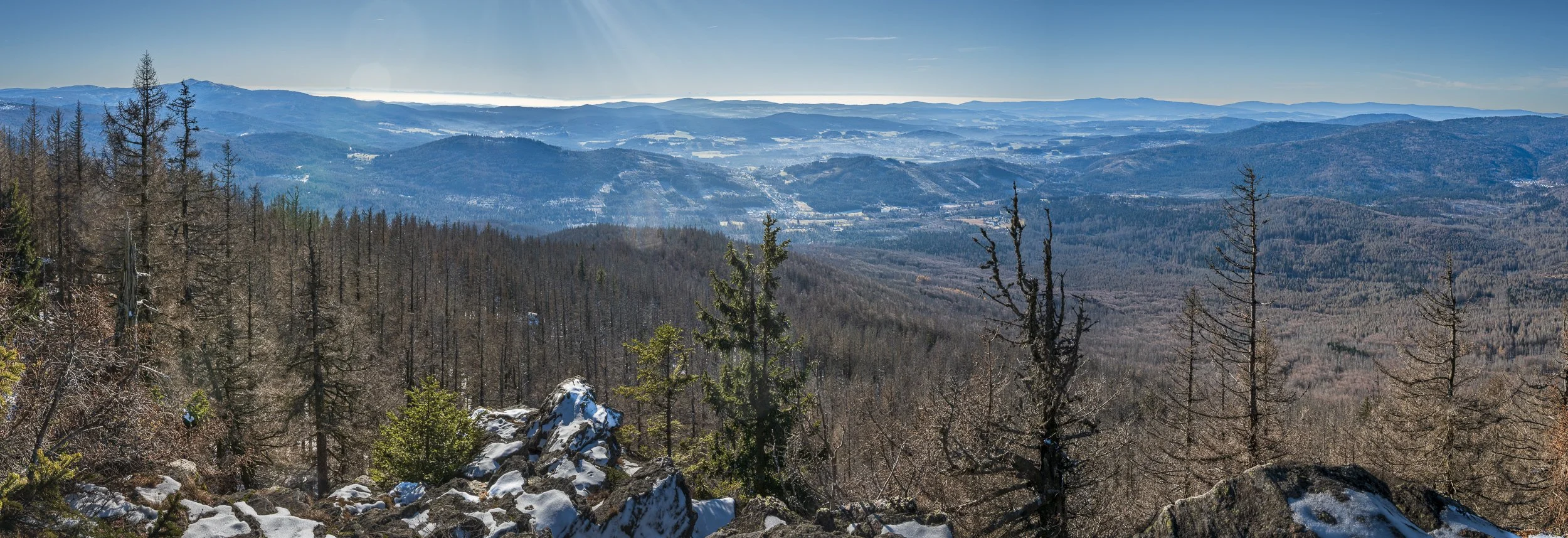 Panorama vom Falkenstein im Dezember