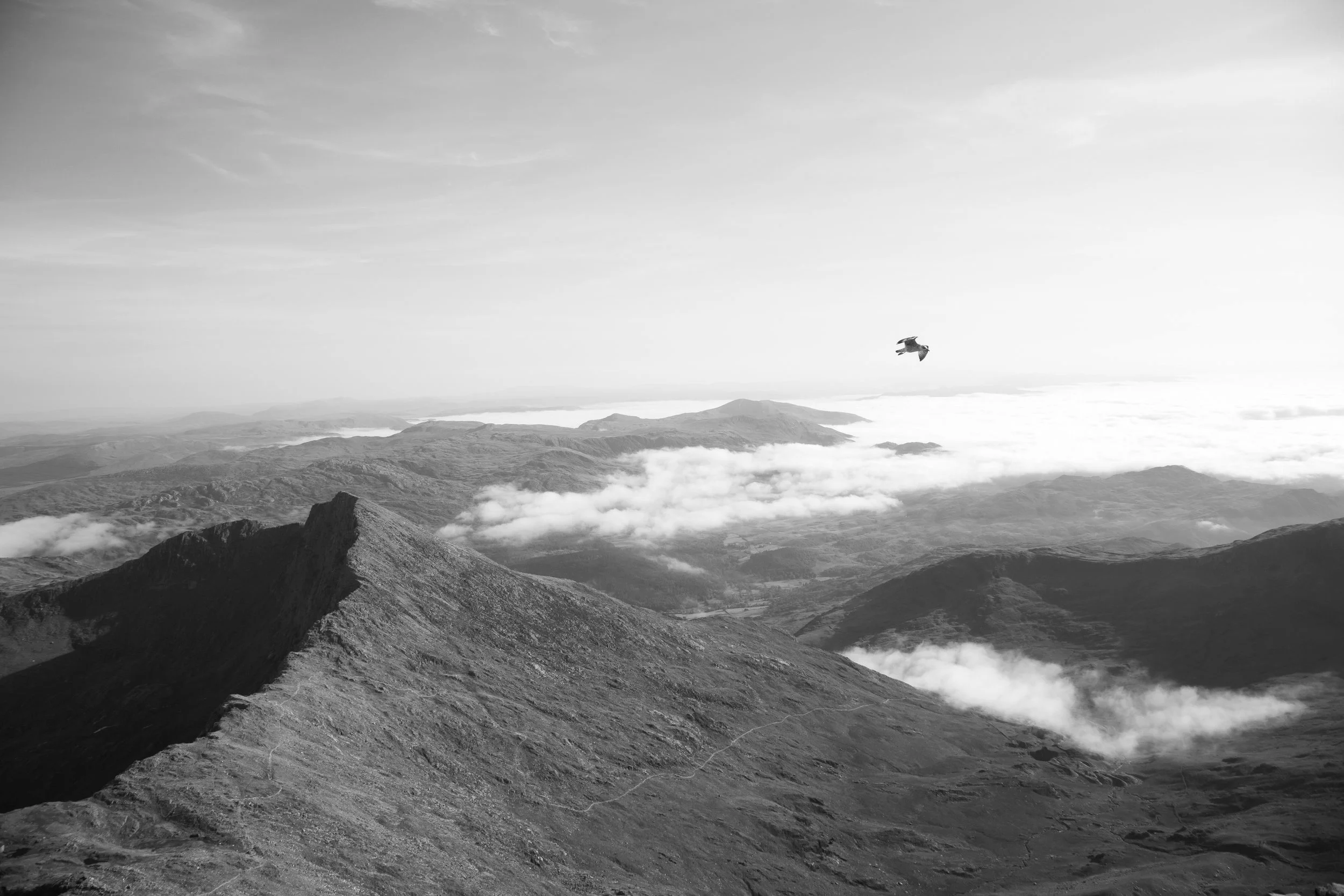 Black and white photo of a mountain landscape with clouds and a bird flying in the sky.