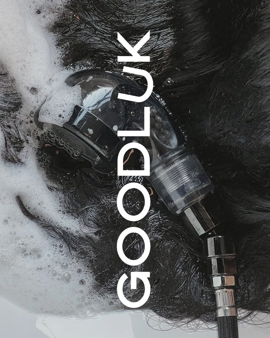 cool-girl, edgy aesthetic designed to match ash&rsquo;s energy for @goodlukclub 🐈&zwj;⬛🔪🍒

just a reminder that beauty branding doesn&rsquo;t have to fit the norm, your brand can set you apart in a saturated space. 

brand photos by @filmedbyrici 