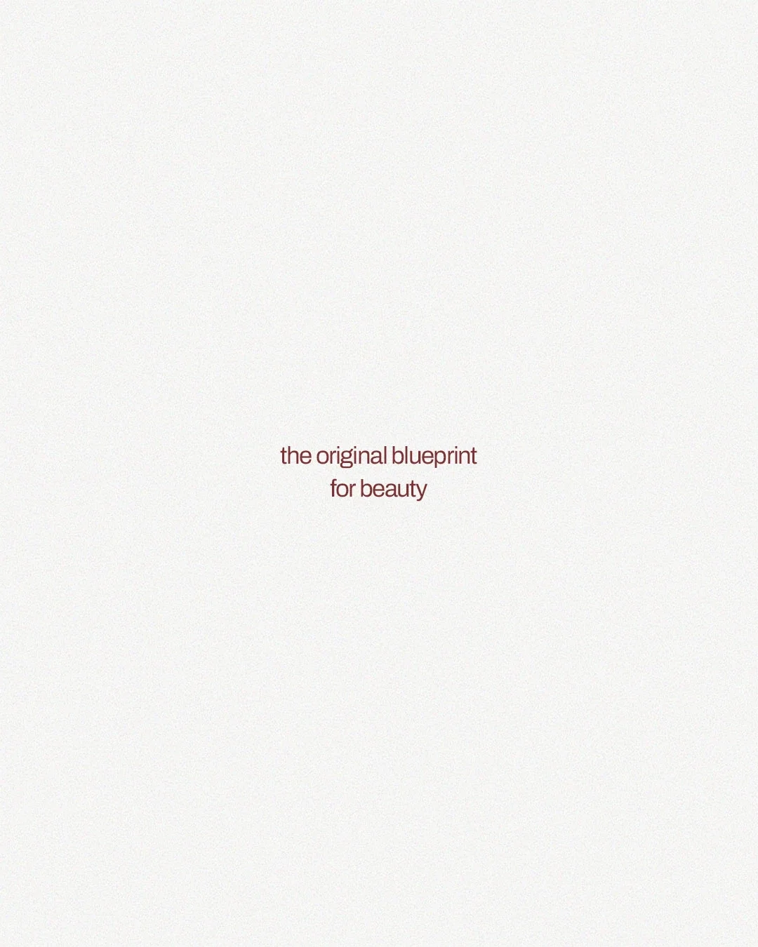 Minimalist book cover with light background and centered text reading 'the original blueprint for beauty'.