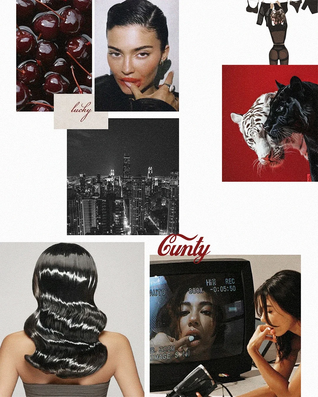 Collage of artistic and cityscape images, including cherries, a woman with slicked-back hair, a woman with long hair, a night city skyline, a woman with styled hair, a camera monitor with a woman's face, a woman posing, and a red background with a black and white tiger and black panther.