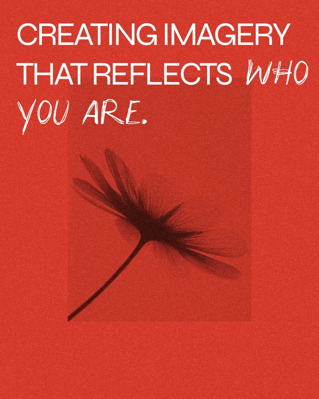 Inspirational quote on a red background with a black feather: "Creating imagery that reflects who you are."
