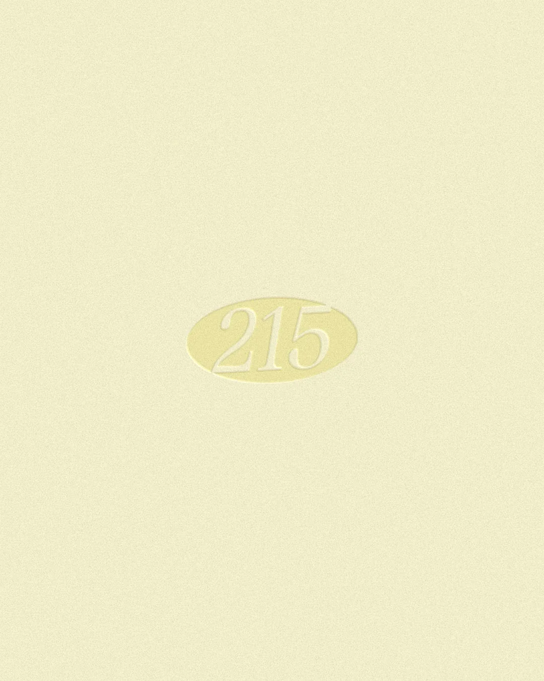 Close-up of a pale yellow surface with the number 215 embossed inside an oval shape.
