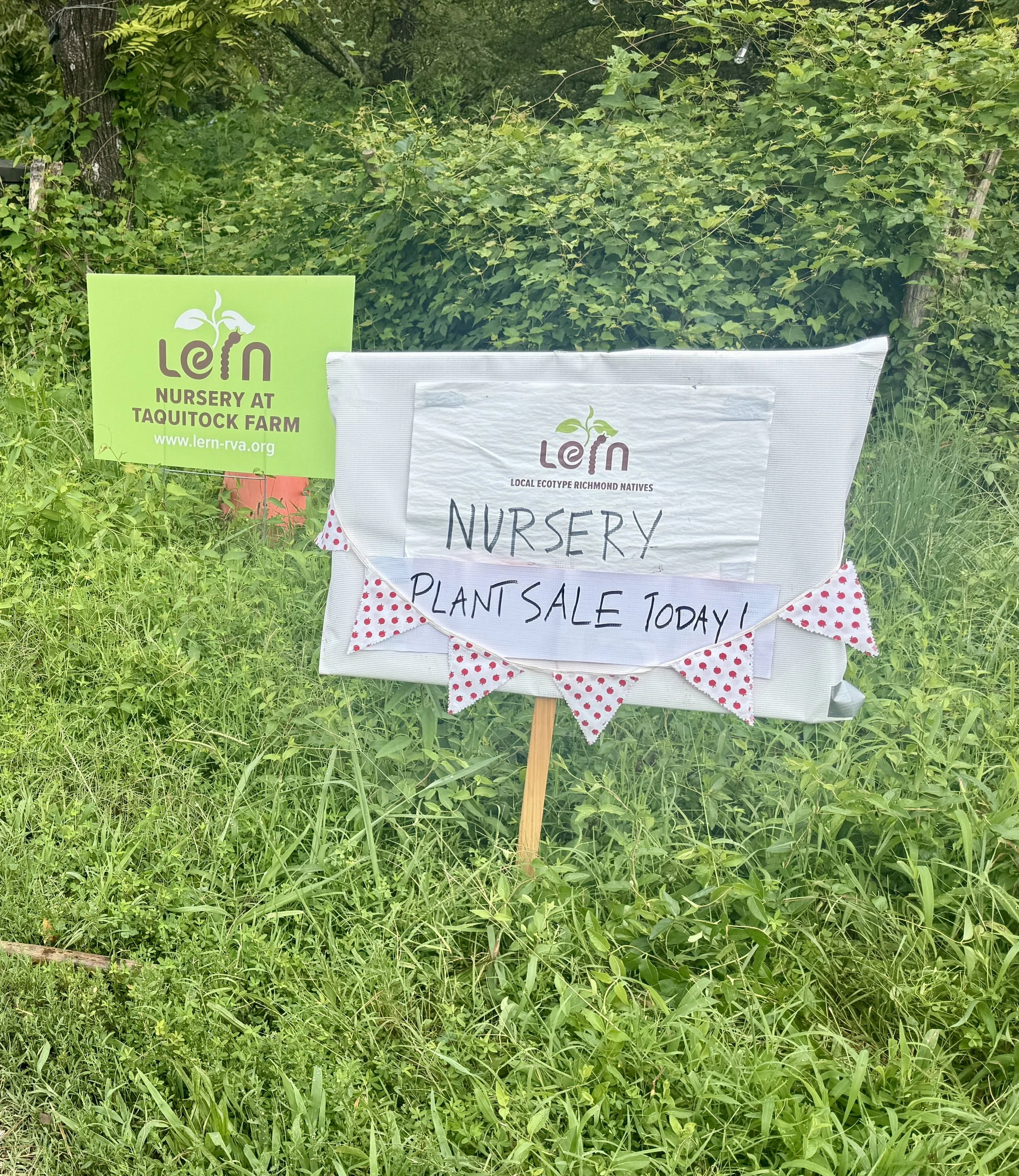 LERN Plant Sale at The LERN Nursery at Taquitock Farm 