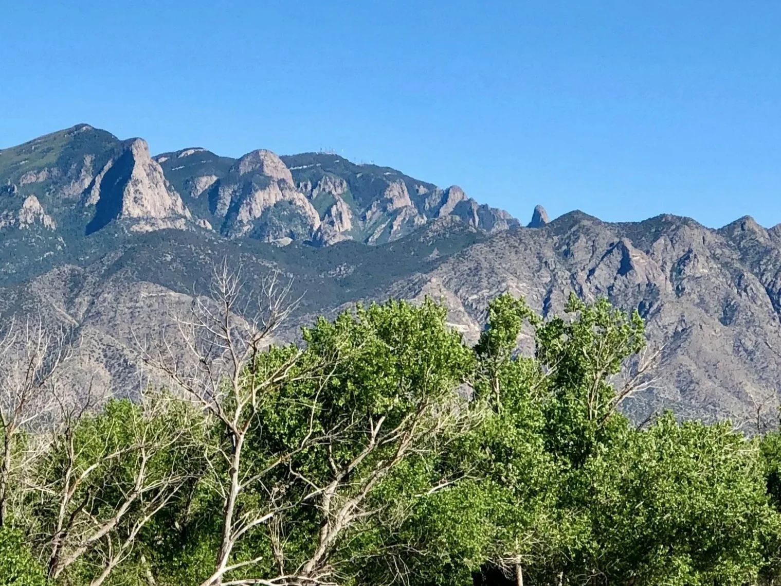 Mountain landscape with rocky peaks in the background and green trees in the foreground under a clear blue sky.