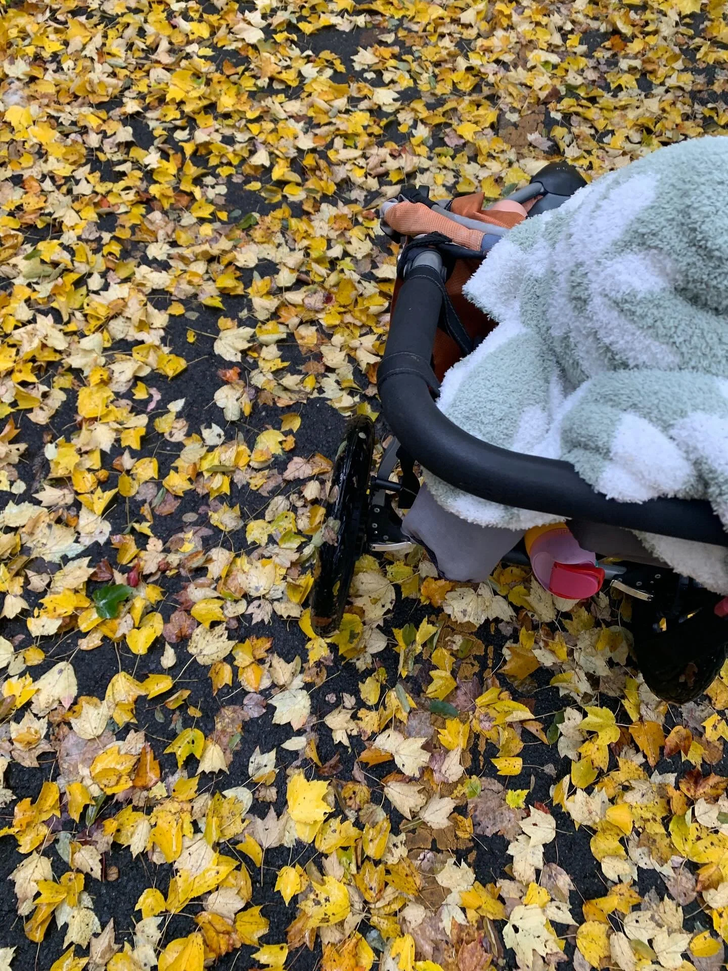 It&rsquo;s really stroller walk time, y&rsquo;all 😍

Pics from today&rsquo;s walk, it was such a nice group! I chatted with someone about how freakin hard breastfeeding can be, with someone else about balancing pets with little kids, and someone els