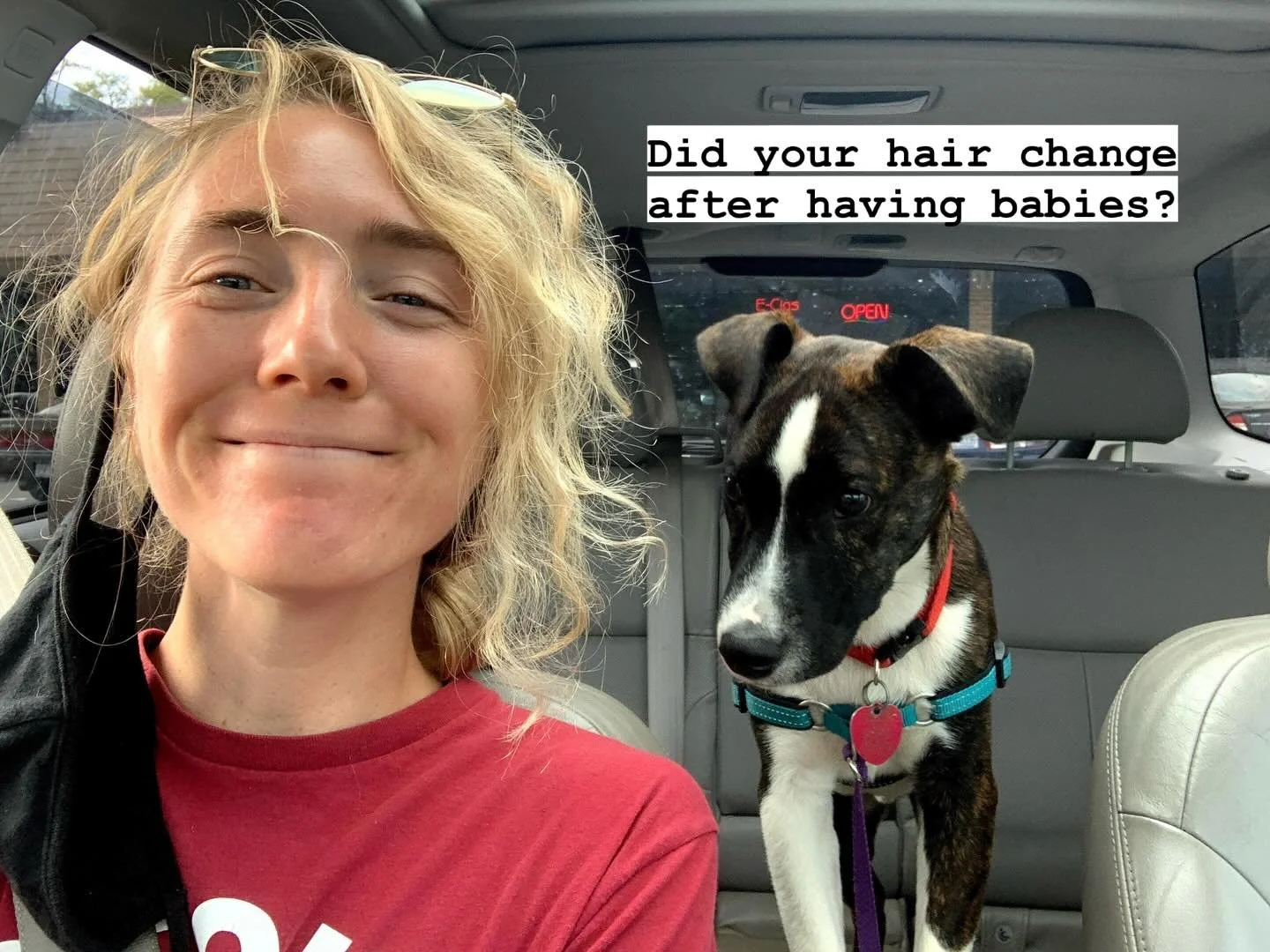 I also used to take selfies with my dog and put him in a jacket and bring him places. Sorry, Winnie ❤️ (He&rsquo;s happy though, don&rsquo;t worry!) 

But for real&hellip;who else has different hair now?! 

#loudouncountydoula #birth #pregnancy
