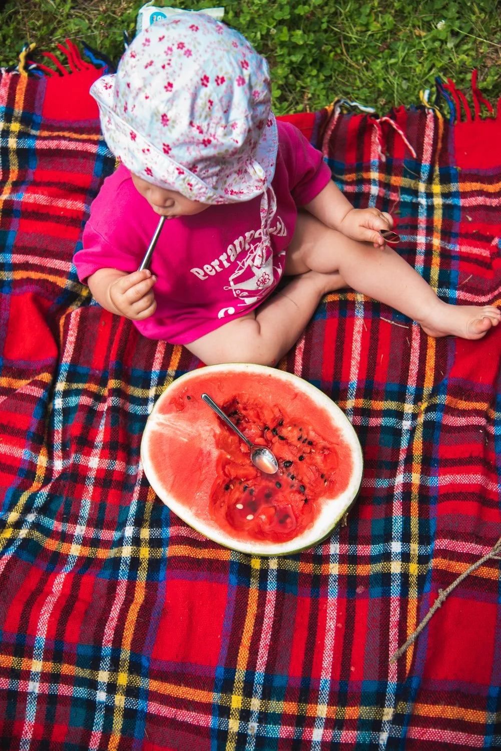 Things to Do in Purcellville, VA with Babies, Toddlers &amp; Young Kids