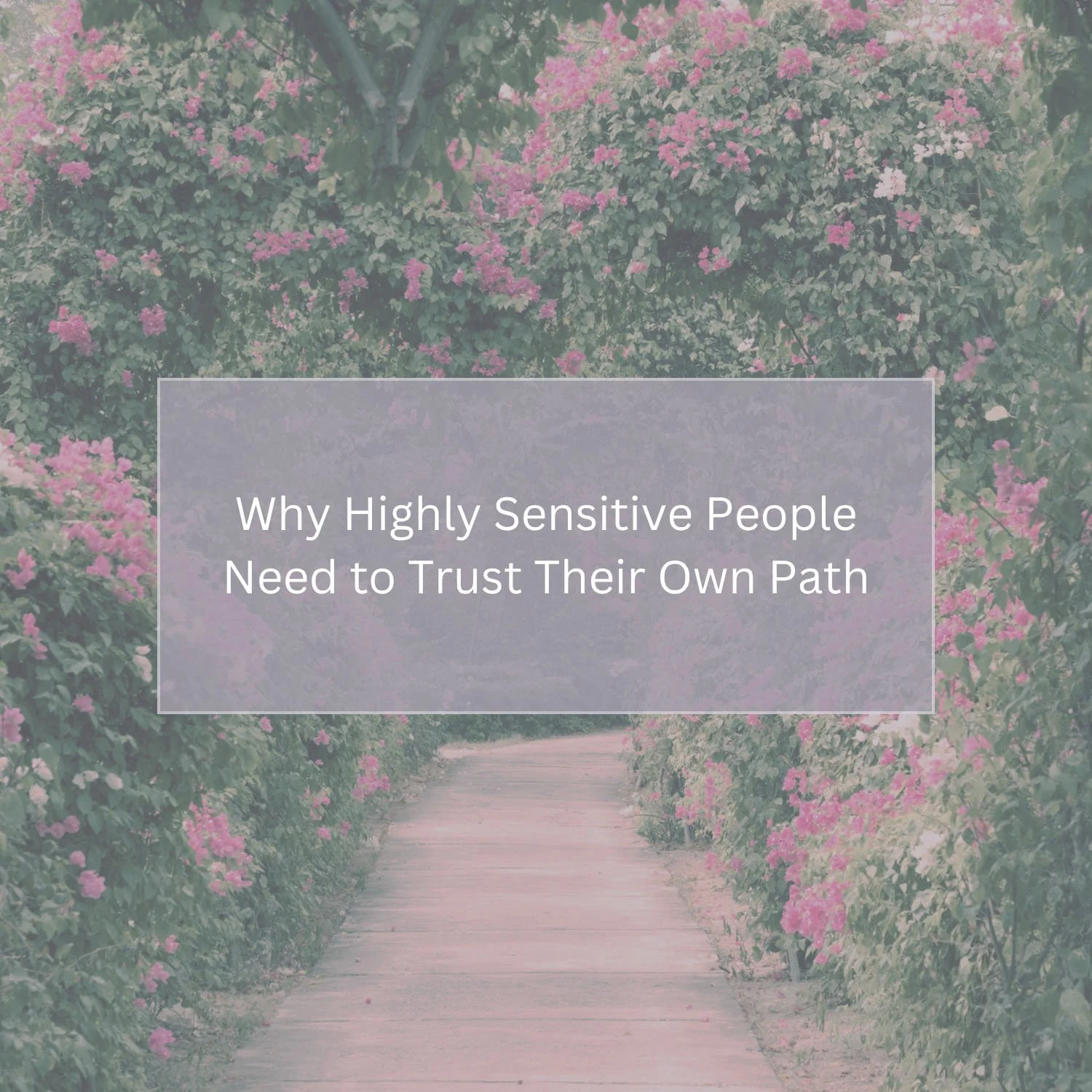 Why Highly Sensitive People Need to Trust Their Own Path