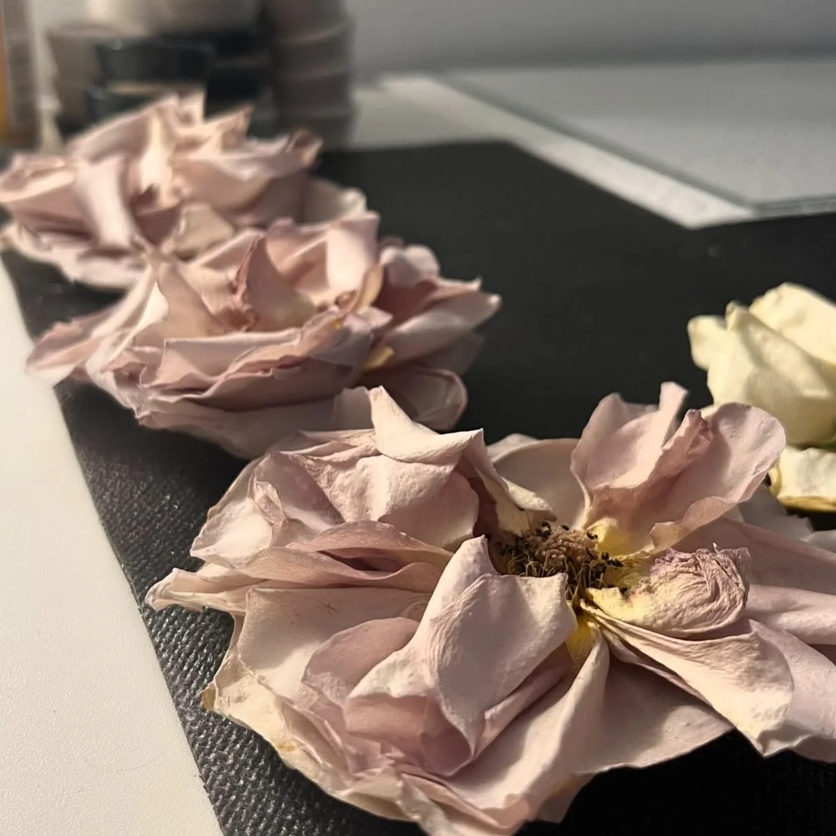 It&rsquo;s been awhile since I&rsquo;ve posted any updates. 

I&rsquo;m still here! Moved to a new town, did a bunch of home renos, settled our daughters into their new school, holding down the fort as my husband learns his new career, and trying to 