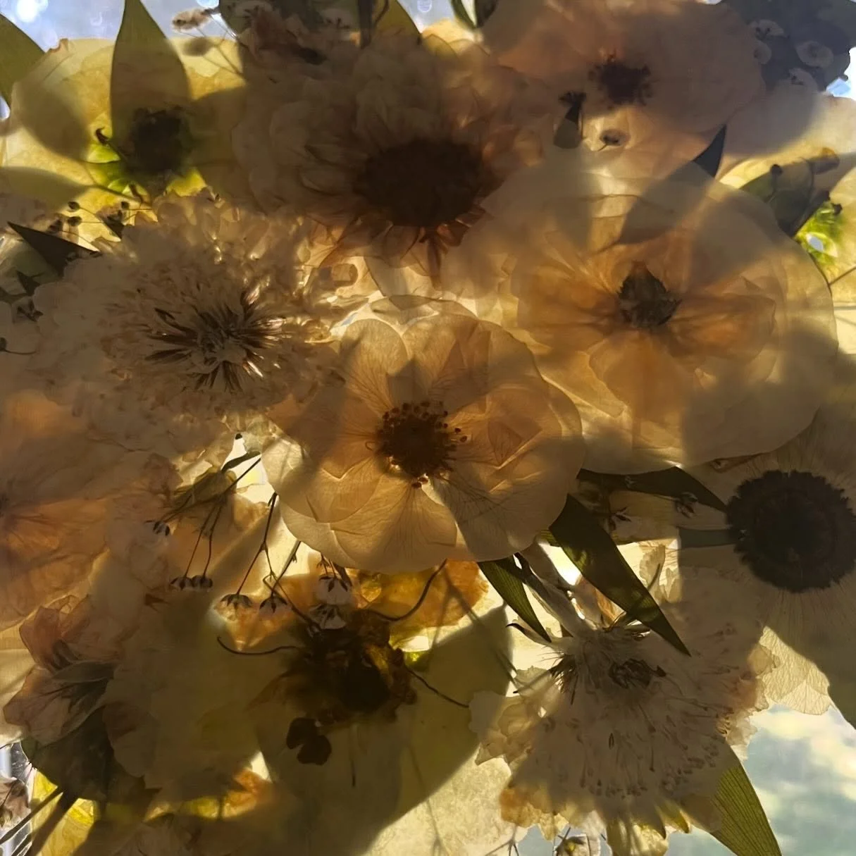 My 2026 booking calendar still has dates available. So if you&rsquo;re getting married, or know someone who is, book now or send them our way! 

Yesterday my husband and I celebrated 13yrs together. So I&rsquo;ve decided to offer 13% off your booking