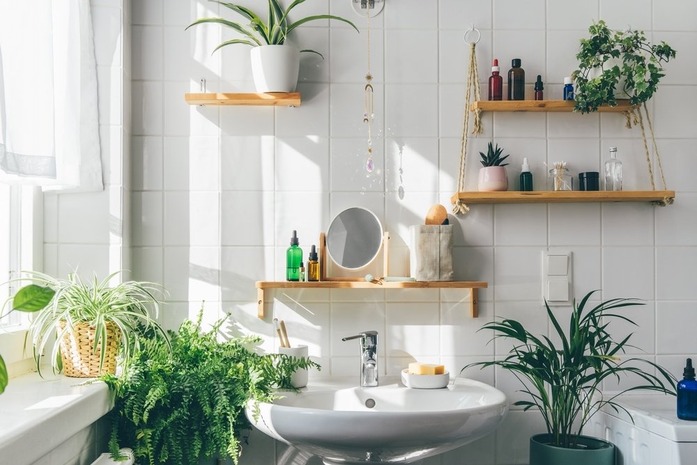 Bathroom Jungle! 

We love adding plants to our spacious bathrooms because they have so many amazing benefits like being natural air purifiers, they can help regulate humidity, they are low maintenance, and not to mention are visually appealing!

#ba