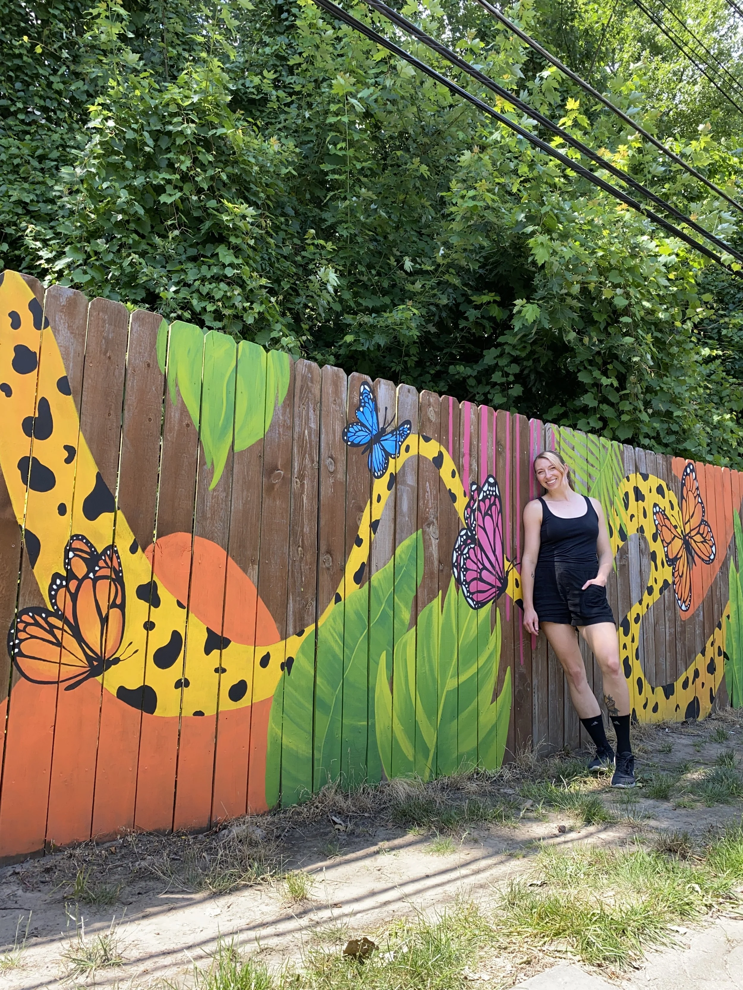 fence-mural-krista-kameleon.jpeg