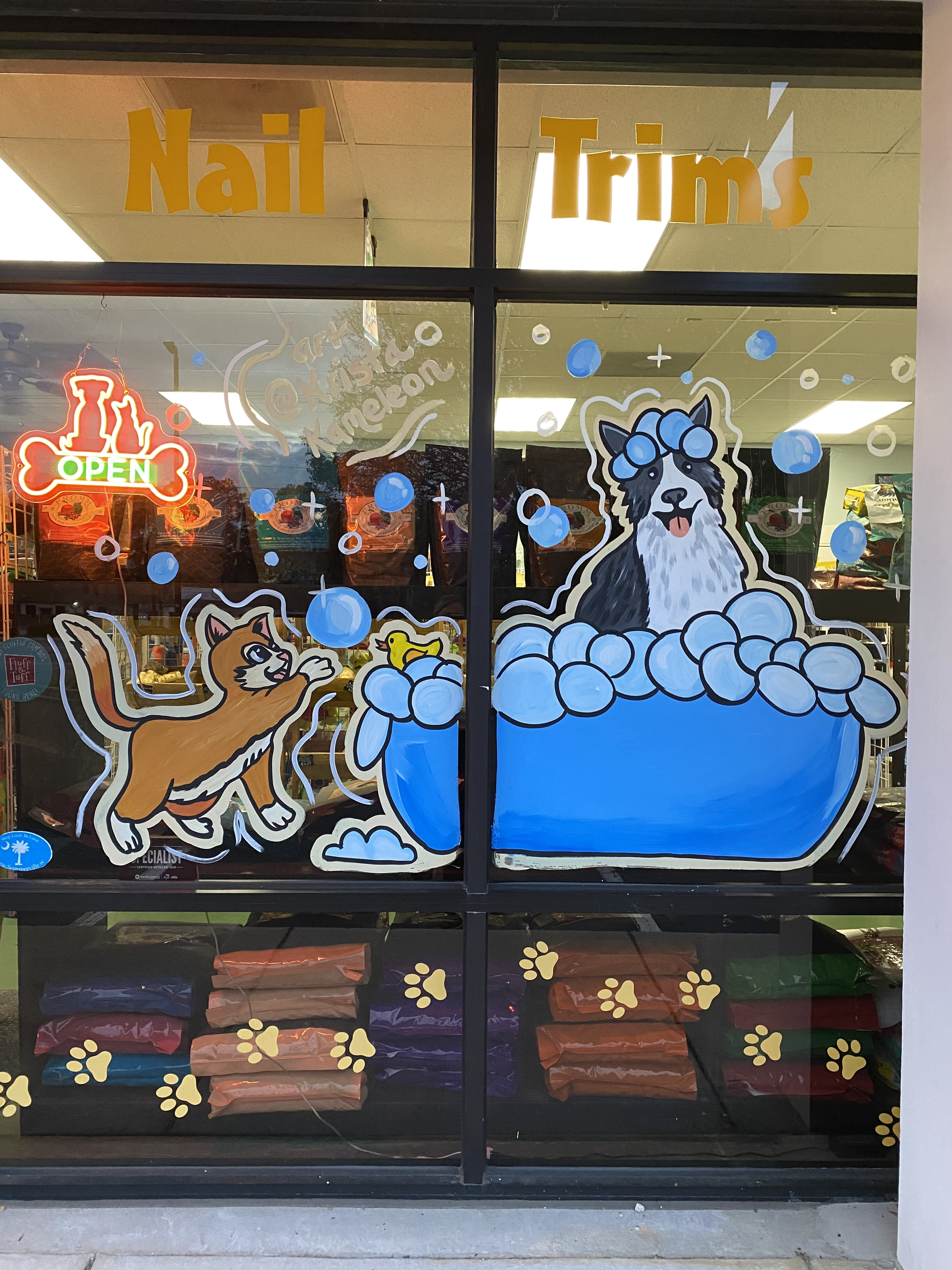 Krista-Kameleon-Christmas-dog-wash-window-Painting-2.png