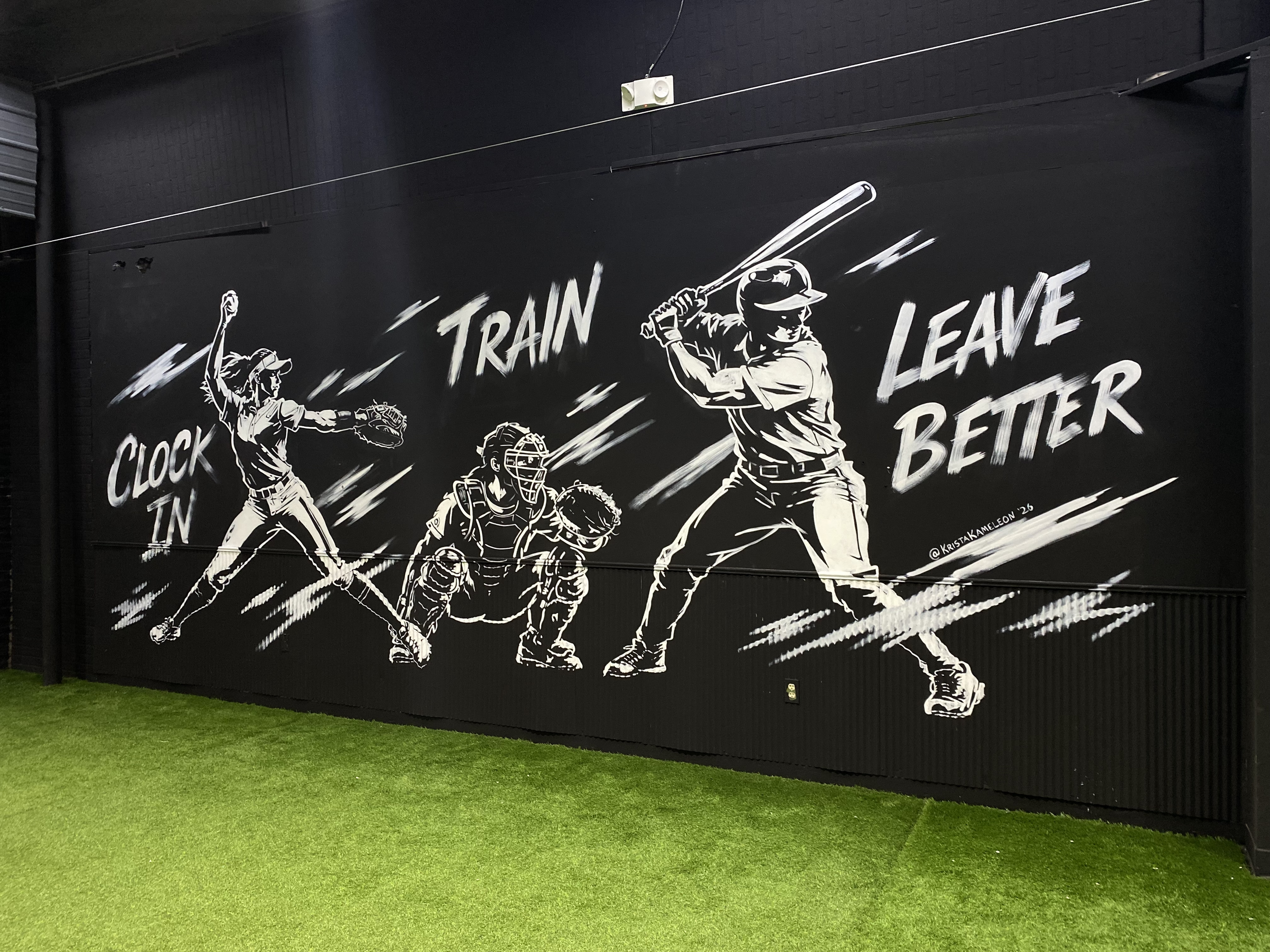 Training Grounds Baseball Gym - Lapeer, MI