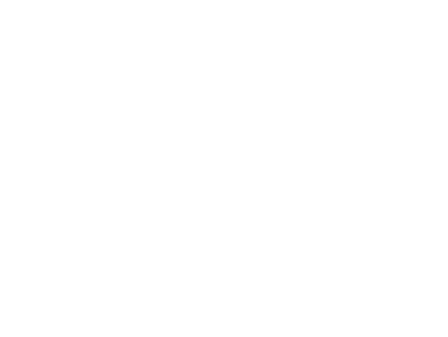 verizon-fastfacts-04.png