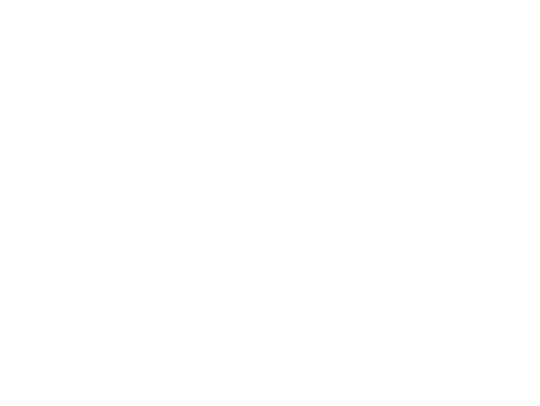verizon-fastfacts-03.png