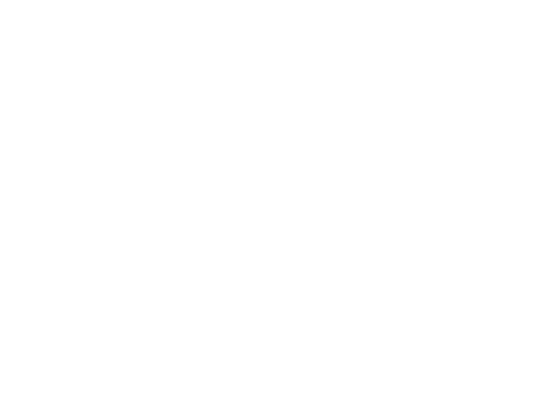 verizon-fastfacts-01.png