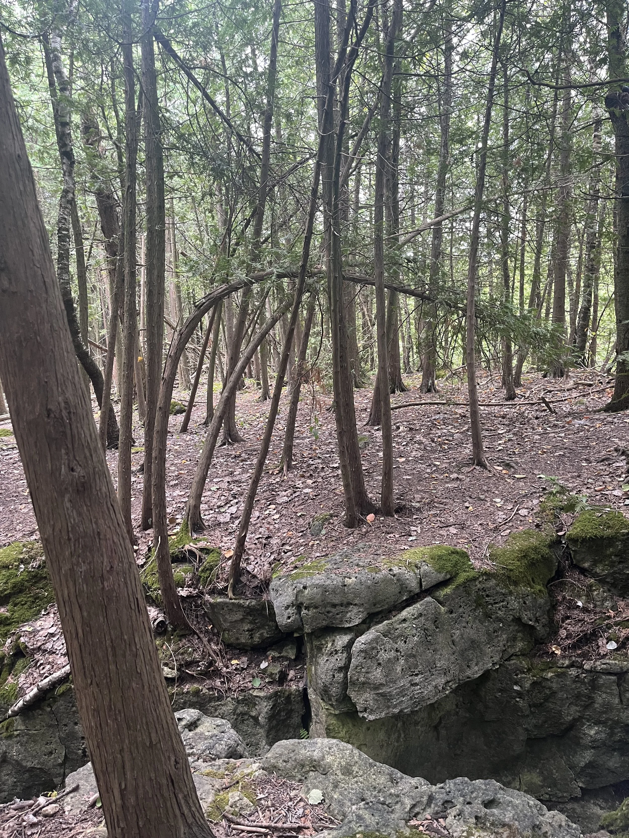 Nature Corridor Summit