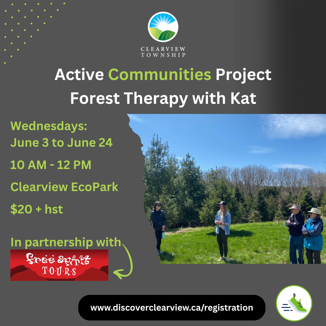 Clearview Township Series