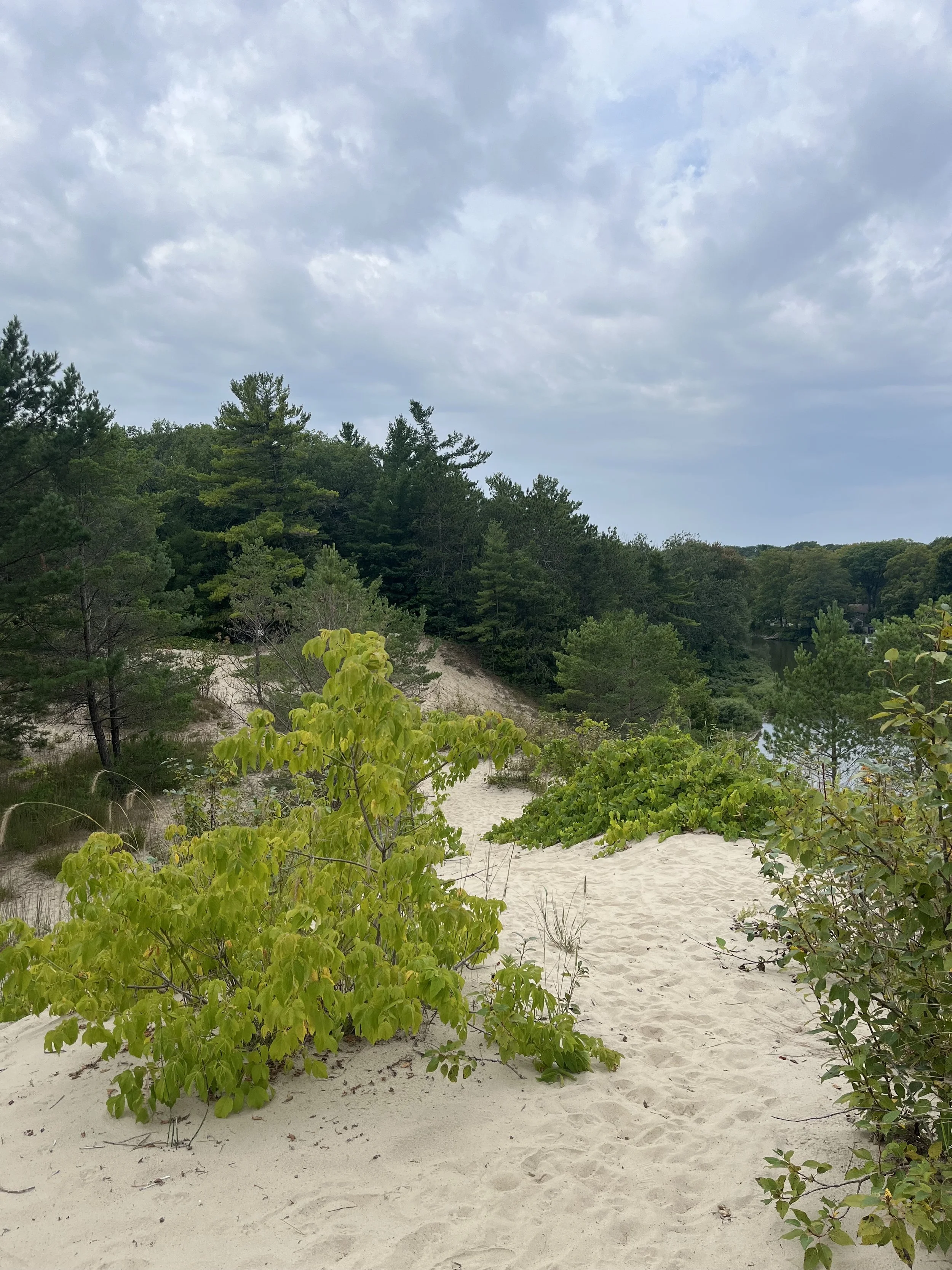 SGBCHC Green RX Walk 