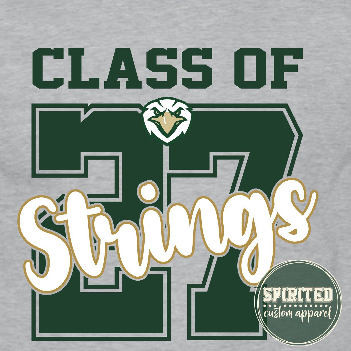 class of 27 strings.jpg