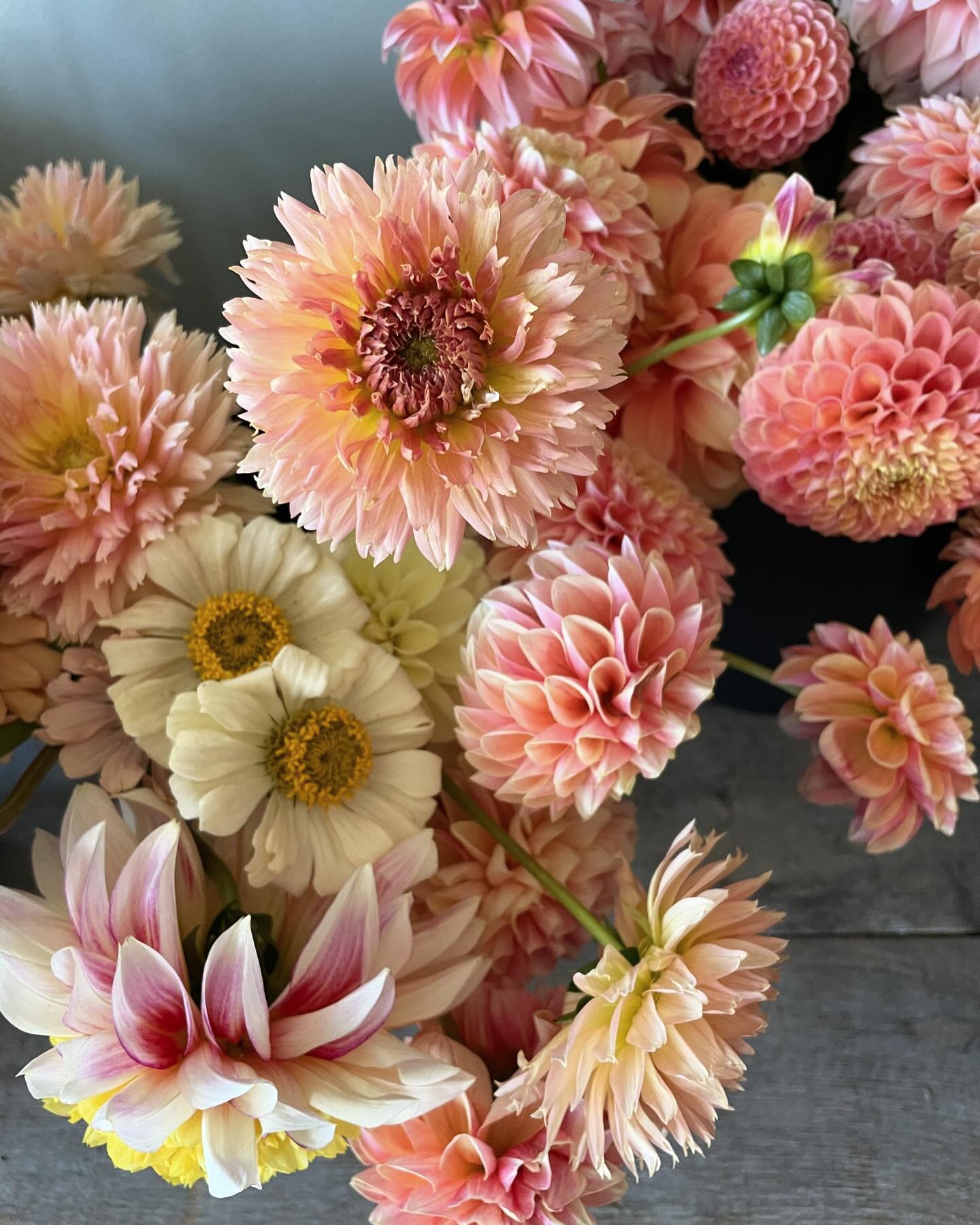 Last week was one for the books, with multiple events!
Too little time to properly capture everything. 
But here is a snippet of one color palette for Friday&rsquo;s event.
Special thanks to @hobbs_thomasvancouver &amp;
@southlandsnurseryvancouver fo