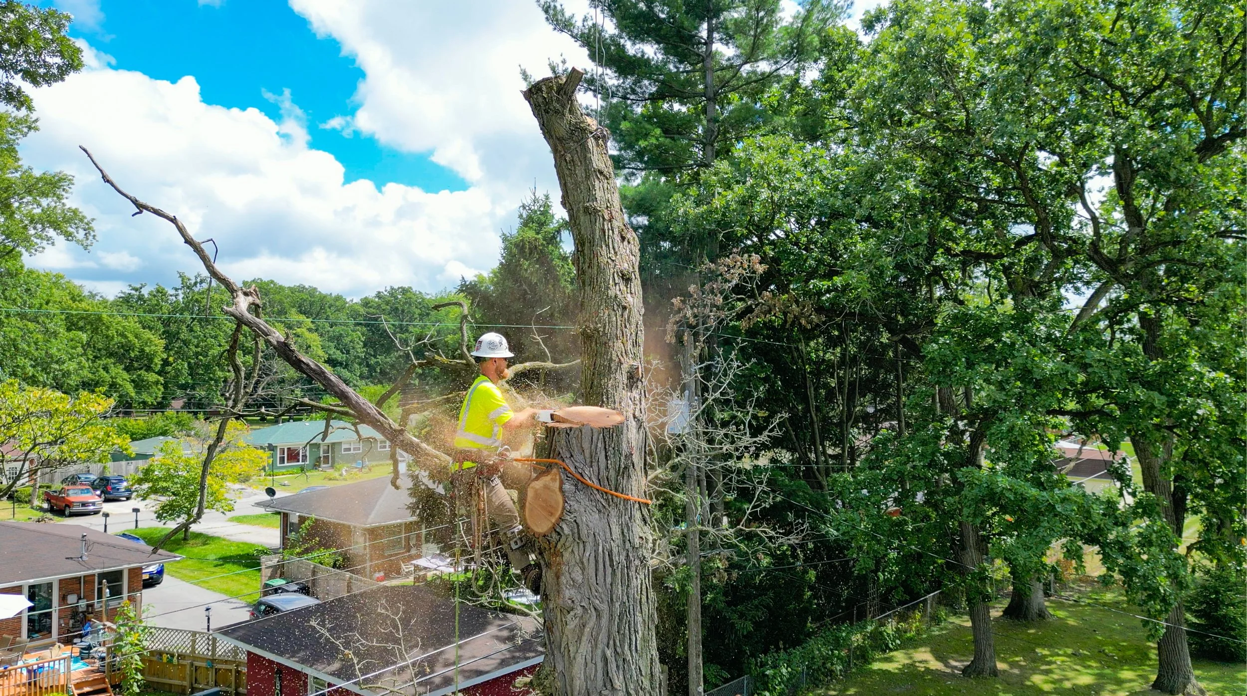 Screen Shot 2022-08-26 at 5.29.37 PM.jpg