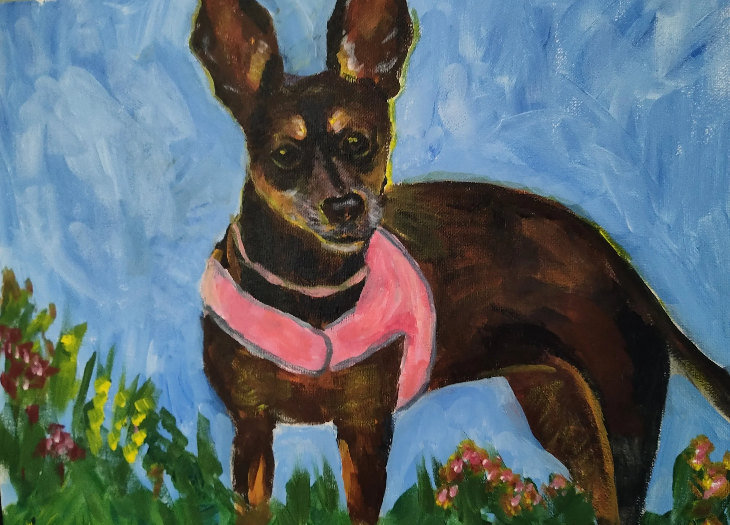 Pet Portraits