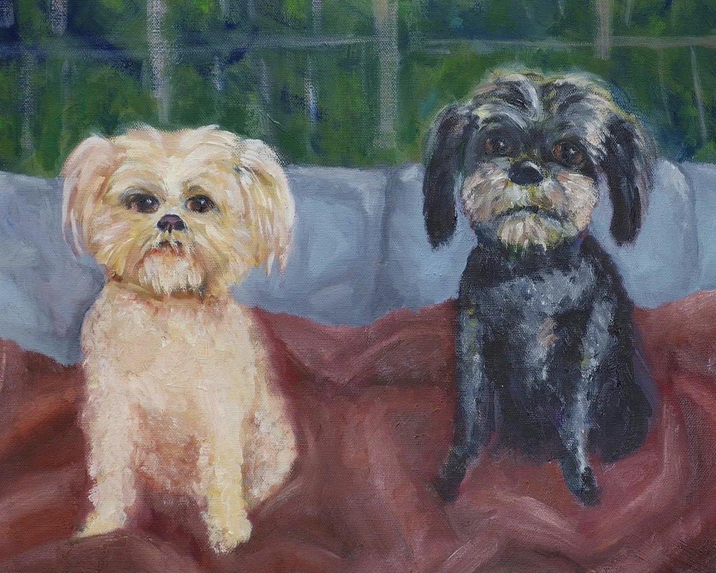 Pet Portraits