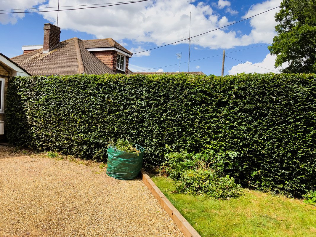 Hedge trimming