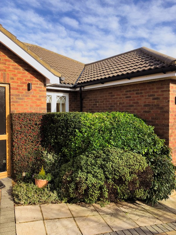 Hedge trimming
